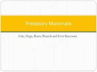 Predatory Mammals
