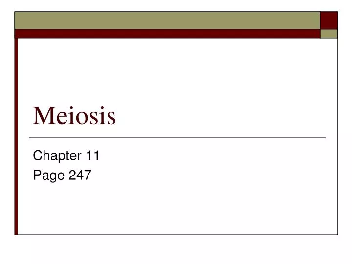 meiosis