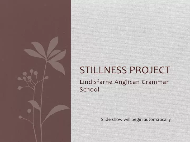 stillness project