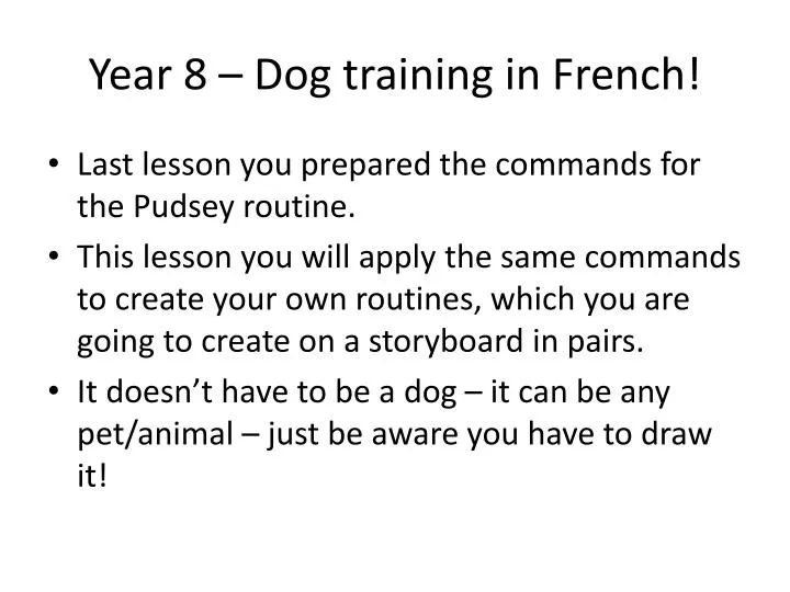year 8 dog training in french