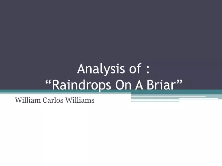 analysis of raindrops on a briar