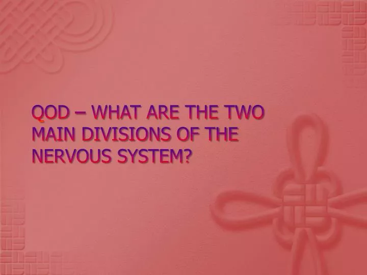 qod what are the two main divisions of the nervous system