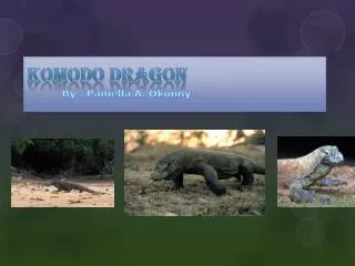 Komodo dragon