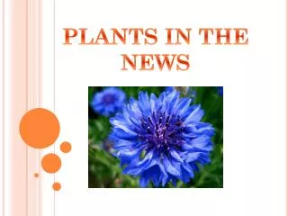 PLANTS IN THE NEWS