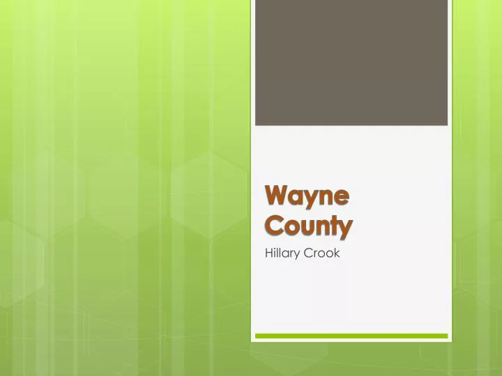 wayne county