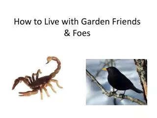 How to Live with Garden Friends &amp; Foes