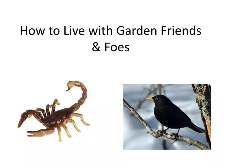 how to live with garden friends foes