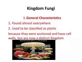 Kingdom Fungi