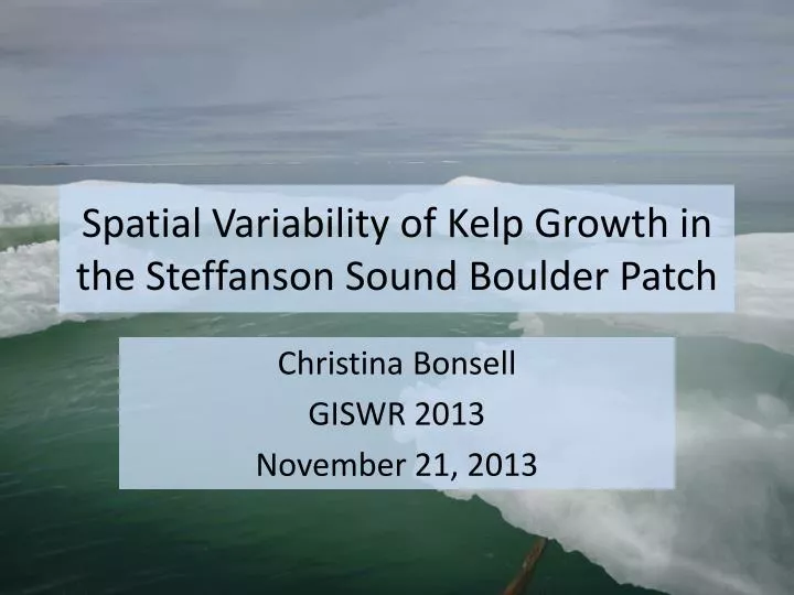spatial variability of kelp growth in the steffanson sound boulder patch