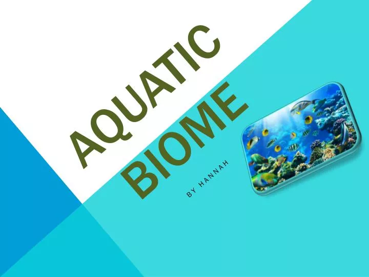 aquatic biome