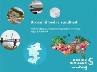 broen til bedre sundhed preben cramon sundhedsfaglig chef overl ge region sj lland