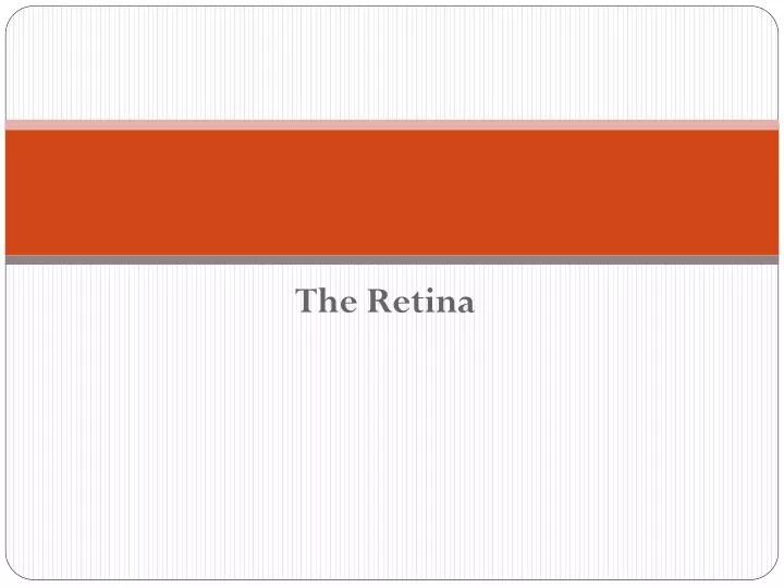 the retina