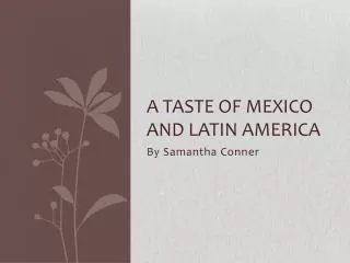 A taste of Mexico and Latin America