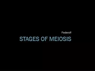 Stages of MEIOSIS