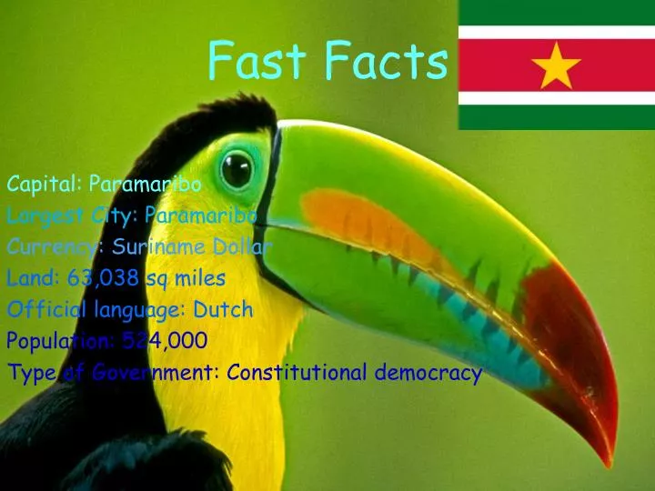 fast facts
