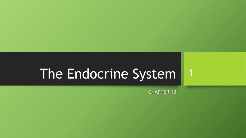 PPT - The Endocrine System PowerPoint Presentation, free download - ID ...