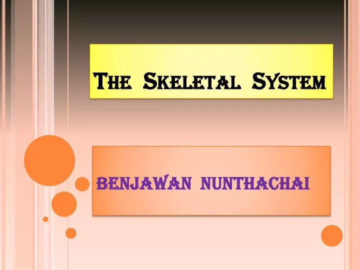 the skeletal system