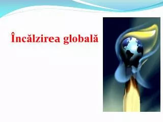 nc lzi rea global