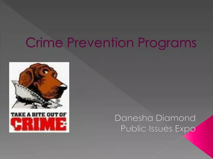 crime prevention programs