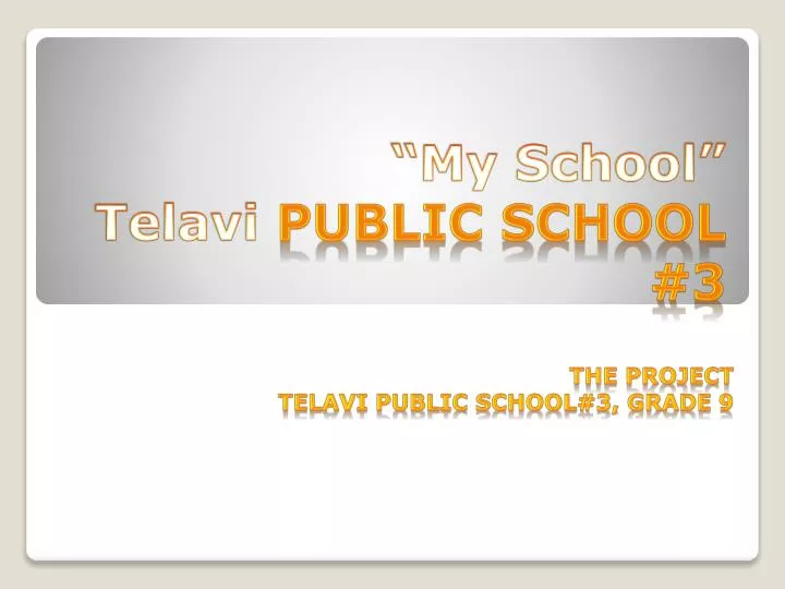my school telavi public school 3