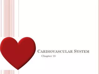 Cardiovascular System