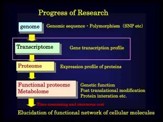 Progress of Research