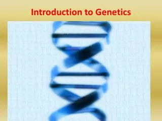 Introduction to Genetics