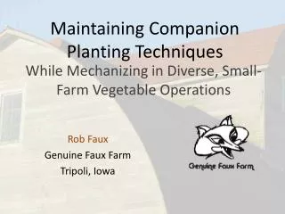 Maintaining Companion Planting Techniques