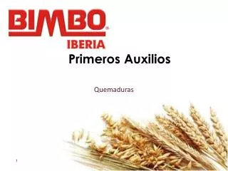 quemaduras
