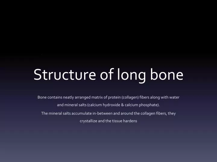 structure of long bone