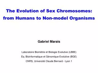 The Evolution of Sex Chromosomes: from Humans to Non-model Organisms