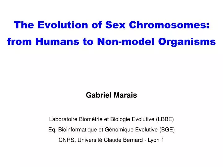 the evolution of sex chromosomes from humans to non model organisms
