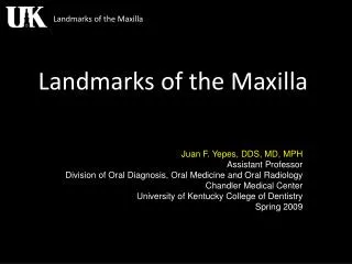 Landmarks of the Maxilla
