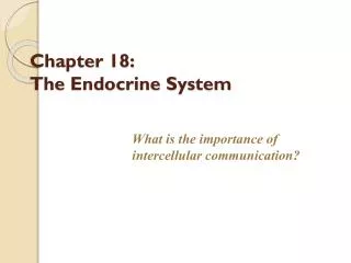 Chapter 18: The Endocrine System