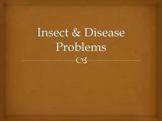 Insect &amp; Disease Problems
