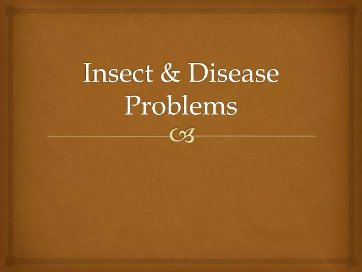 insect disease problems
