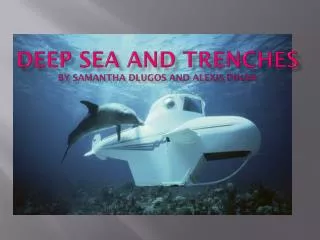 Deep sea and trenches by samantha dlugos and alexis dinan