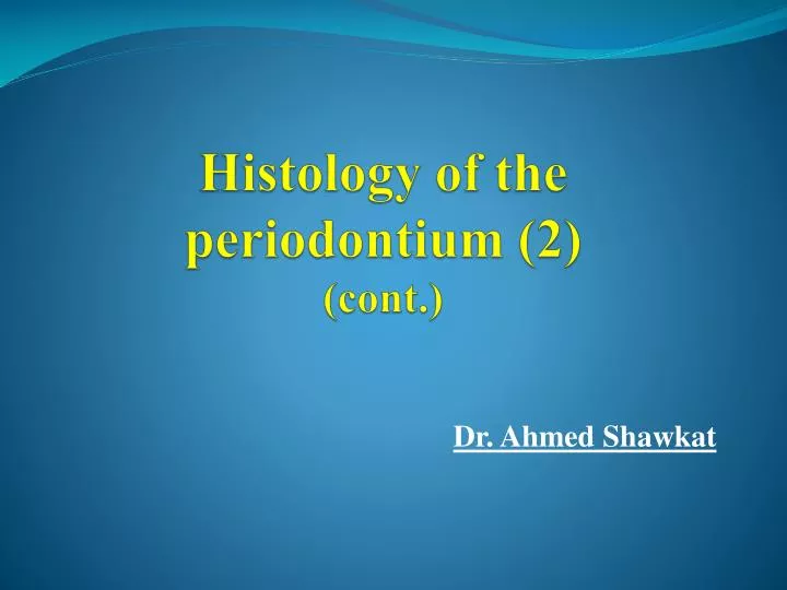histology of the periodontium 2 cont