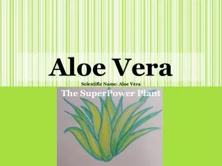 Aloe Vera Scientific Name: Aloe Vera
