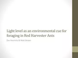Light level as an environmental cue for foraging in Red Harvester Ants