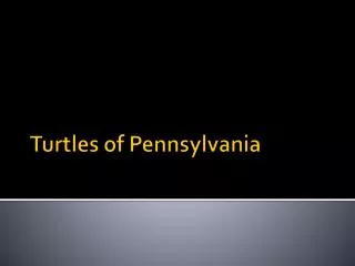 Turtles of Pennsylvania