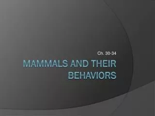 Mammals and their Behaviors