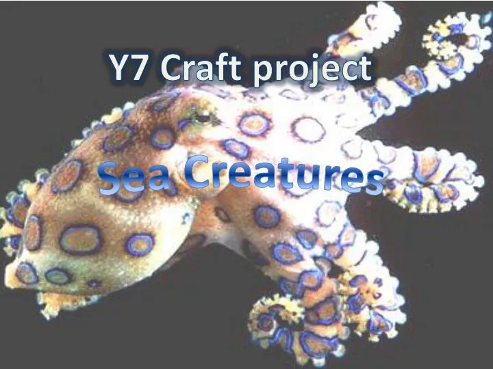 y7 craft project