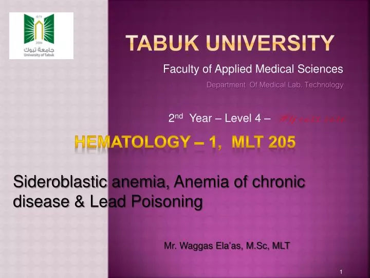 Ppt Tabuk University Powerpoint Presentation Free Download Id2033522 7031