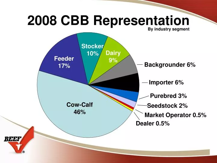 2008 cbb representation