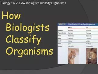 Biology 14.2 How Biologists Classify Organisms