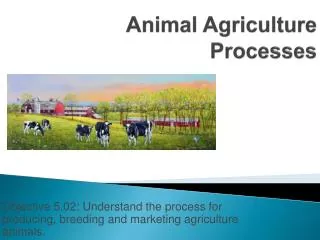 Animal Agriculture Processes