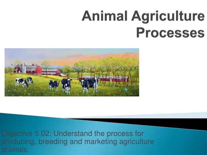 animal agriculture processes