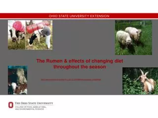 The Rumen &amp; effects of changing diet throughout the season