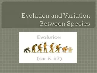 Evolution and Variation Between Species
